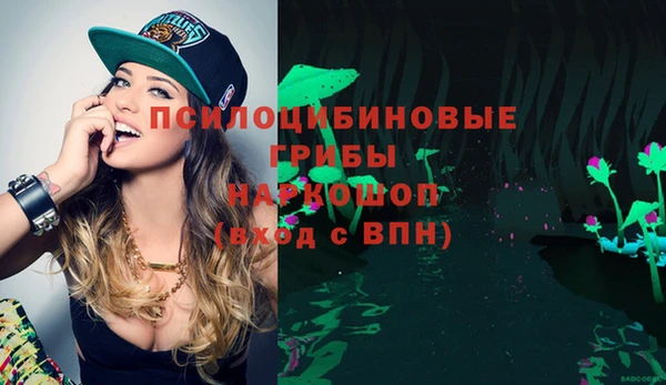 дживик Каменск-Шахтинский