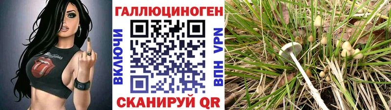 Купить  Павловск  Псилоцибиновые грибы прущие грибы 